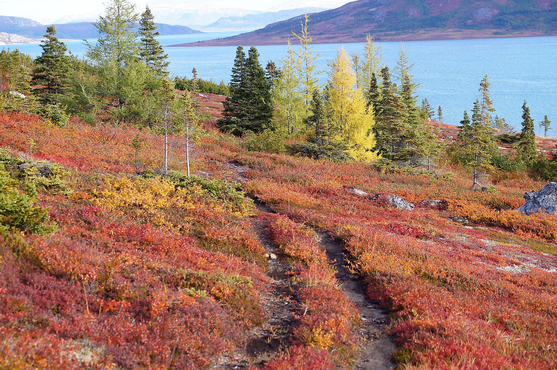 Wilde Küsten von Grönland bis zur Ostküste Kanadas