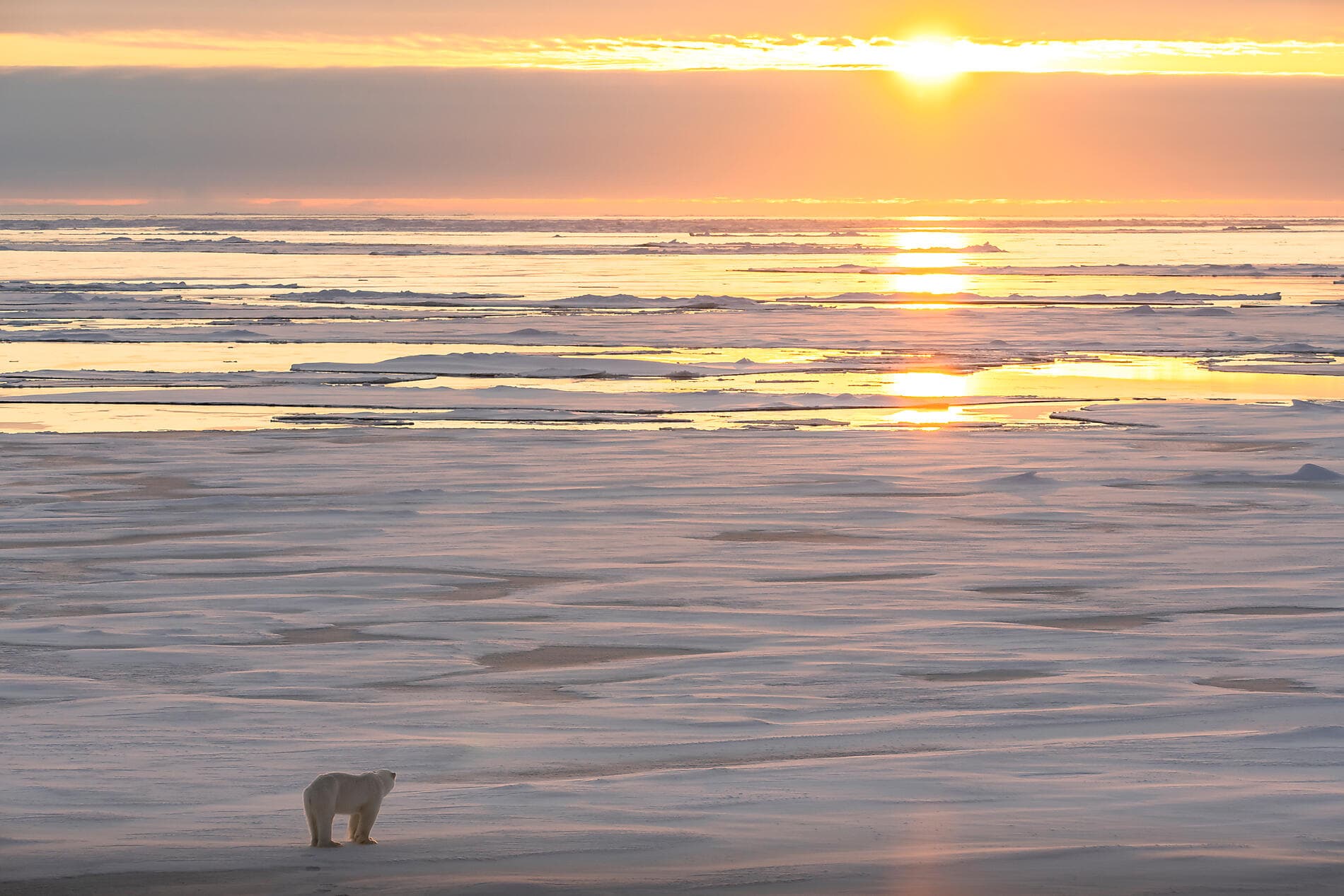 Der geografische Nordpol 