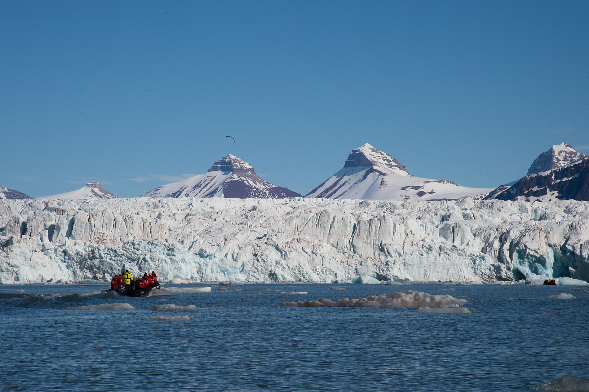 Polar-Abenteuer zwischen Nordost-Grönland und Spitzbergen 