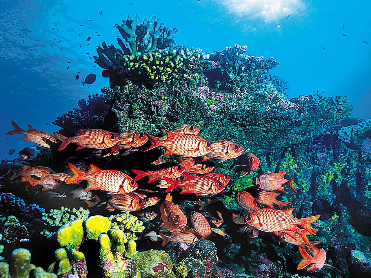 Gesellschaftsinseln und Tuamotu-Archipel  