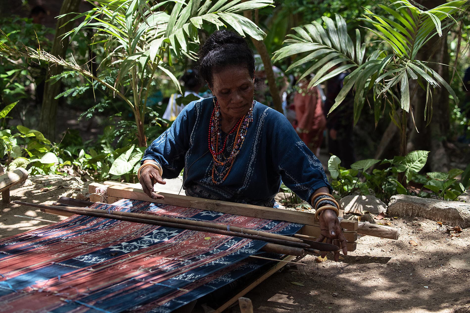 Abenteuer in den Tropen zwischen Indonesien und Nordost-Australien 