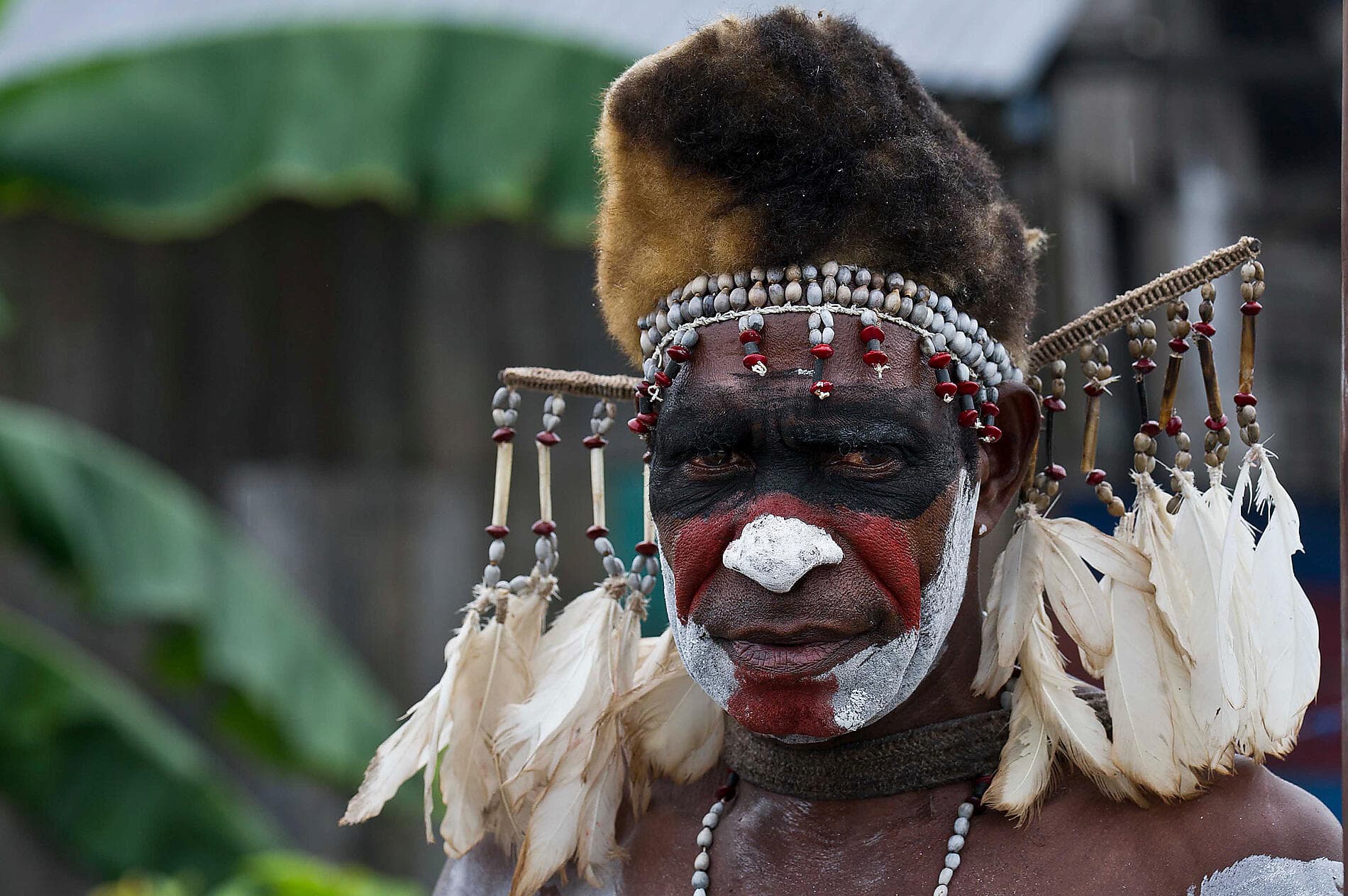 Abenteuer in den Tropen zwischen Indonesien und Nordost-Australien 