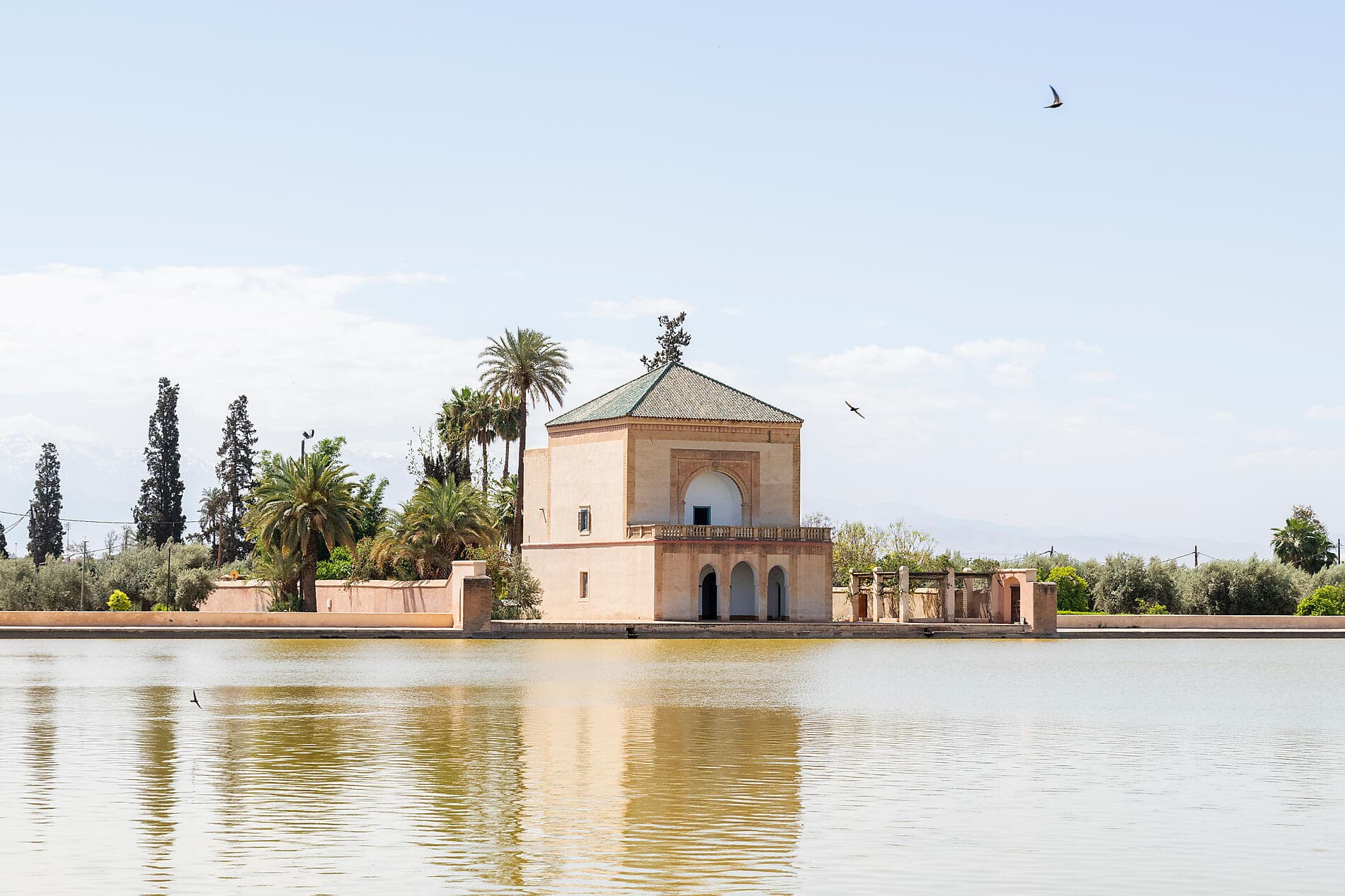 Abenteuer im Atlantik, von den Kanaren bis Marokko 