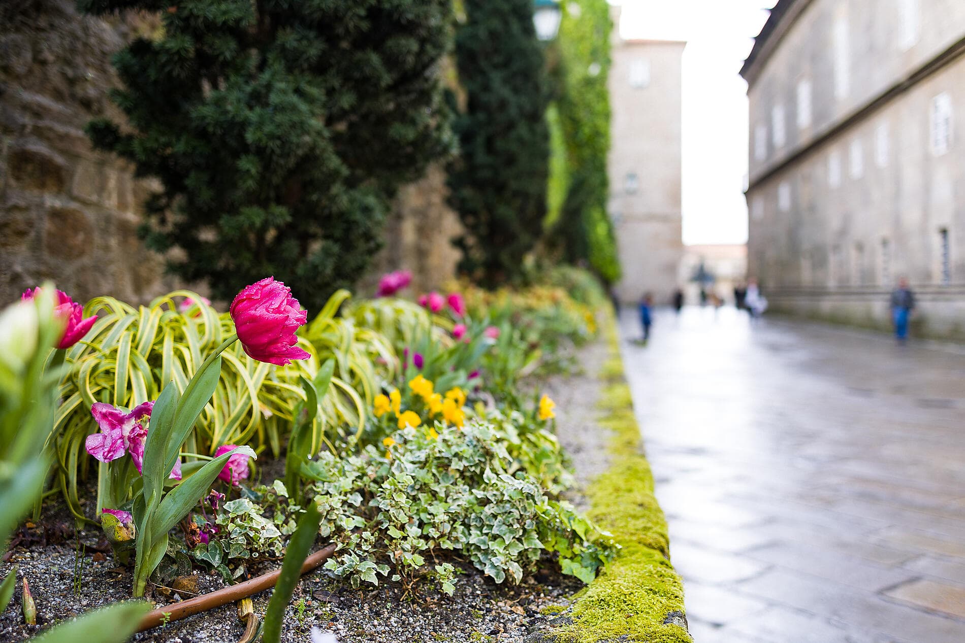 Befestigte Städte am Atlantik und die Iberische Halbinsel