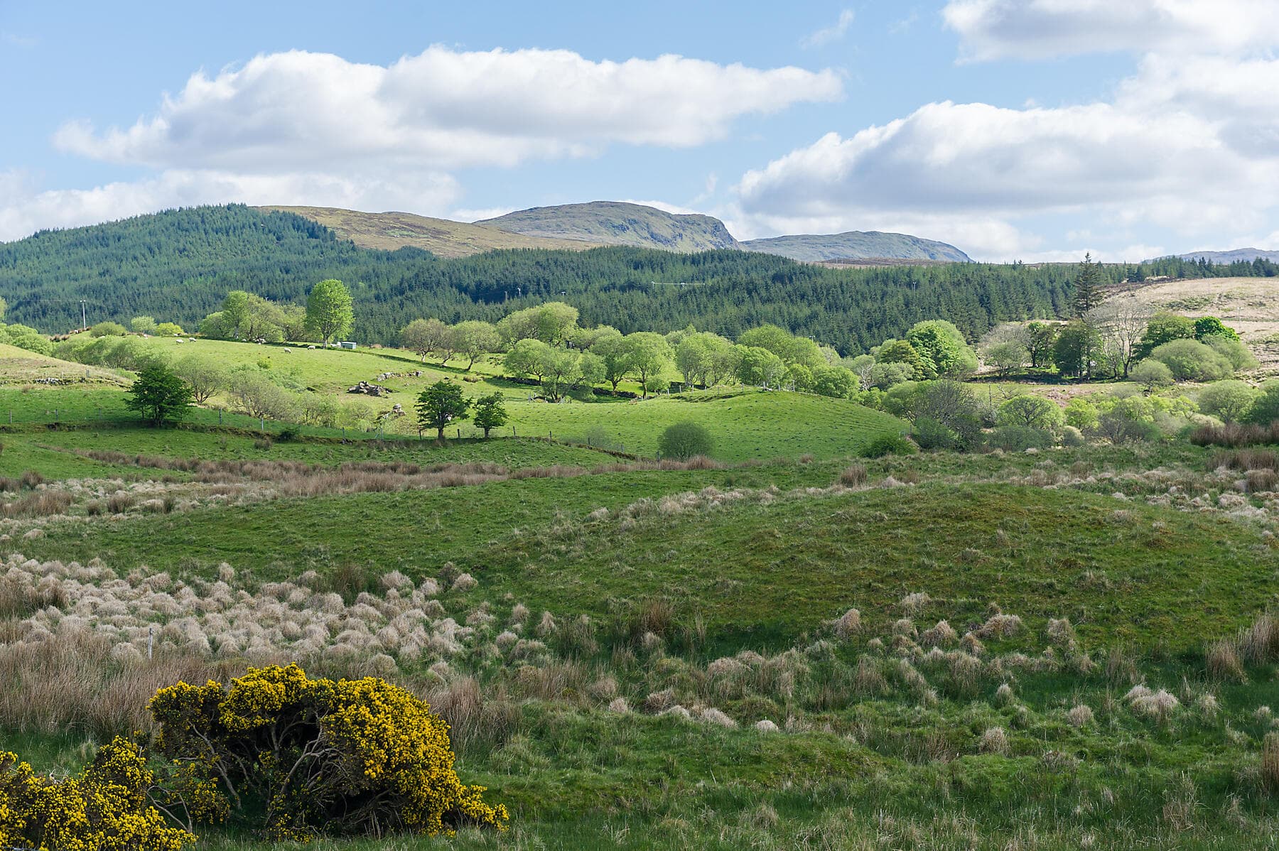 Rund um die Smaragdinsel 