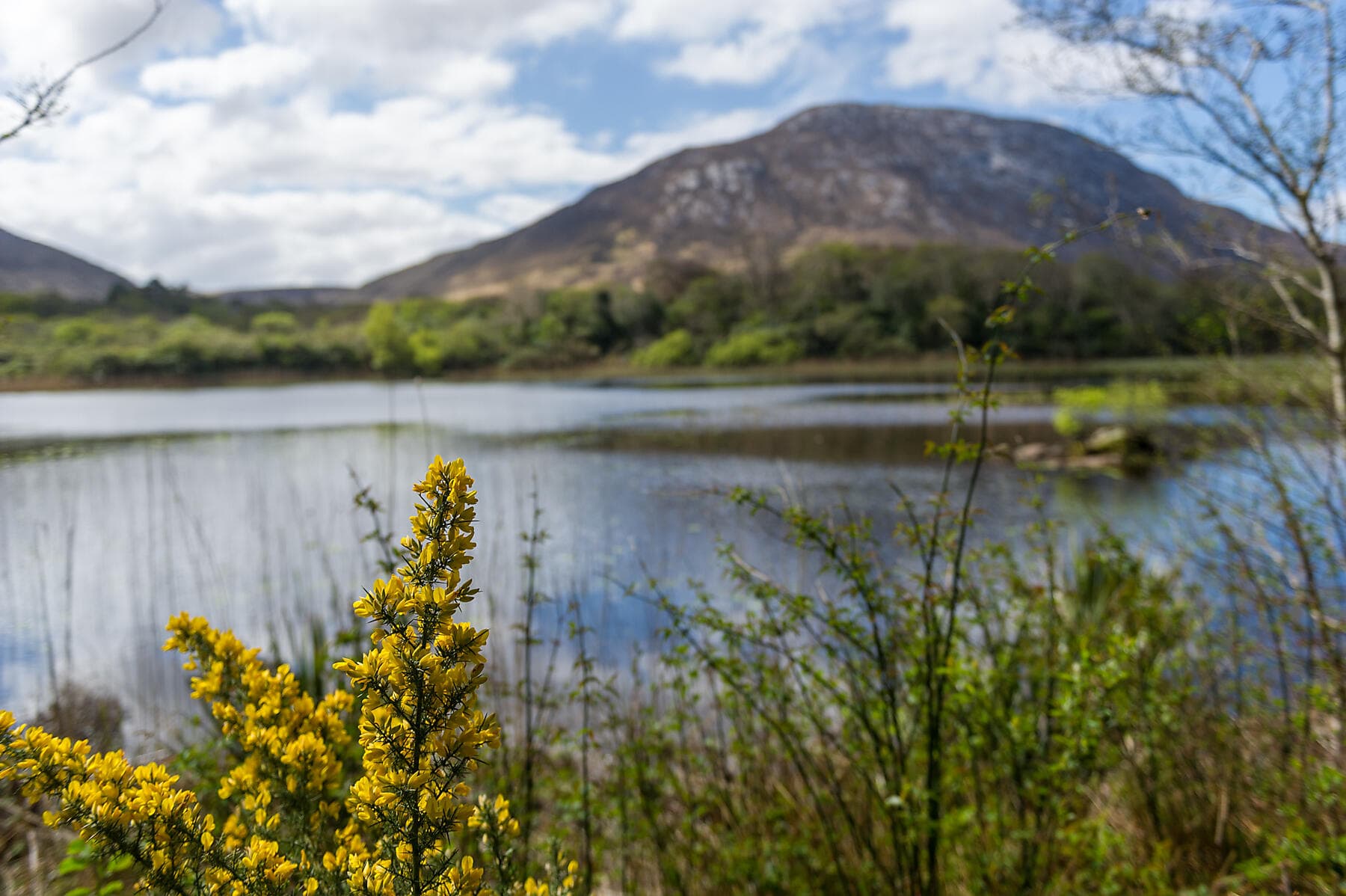 Rund um die Smaragdinsel 