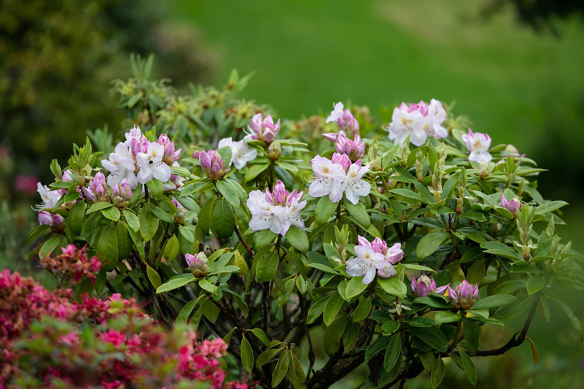 Rund um die Smaragdinsel 