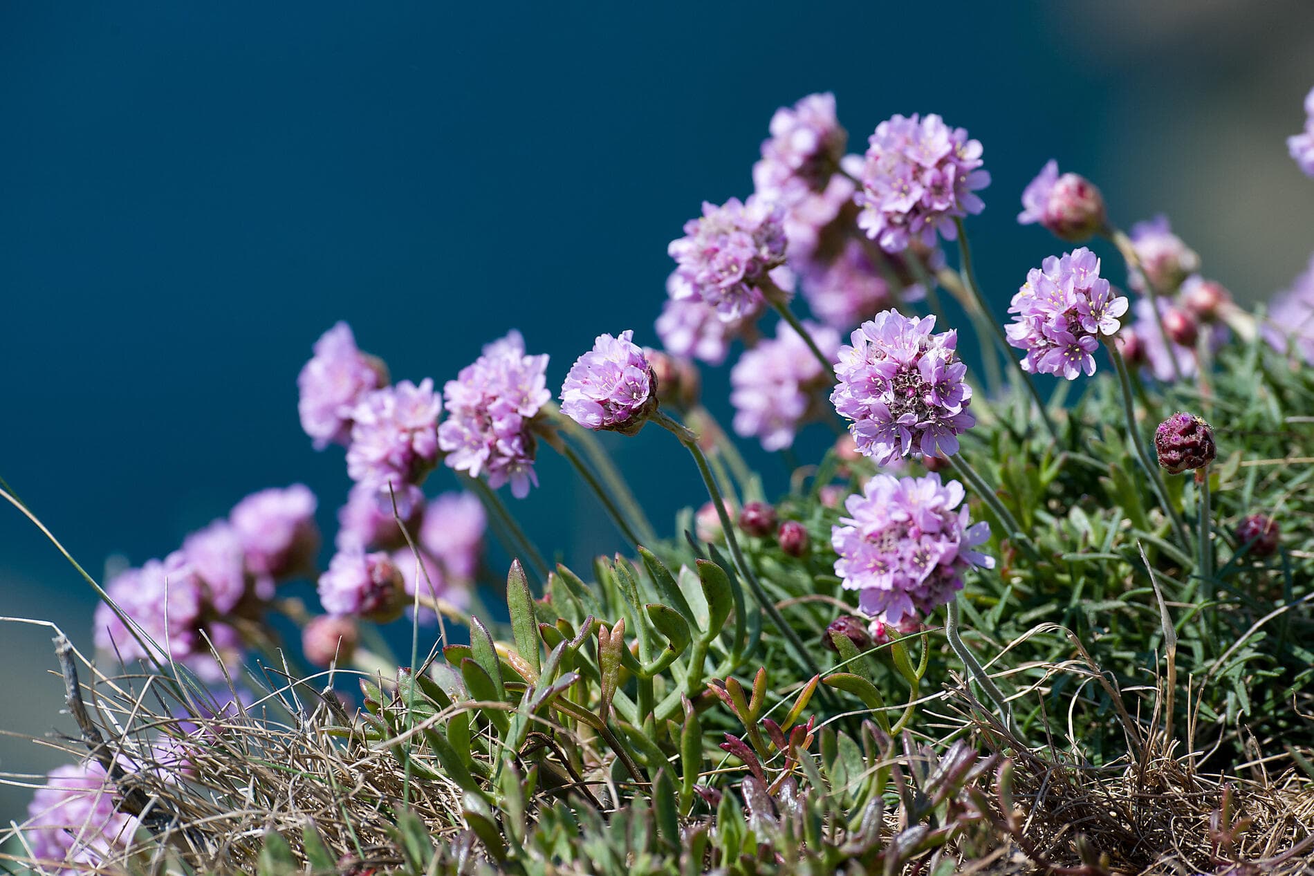 Rund um die Smaragdinsel 