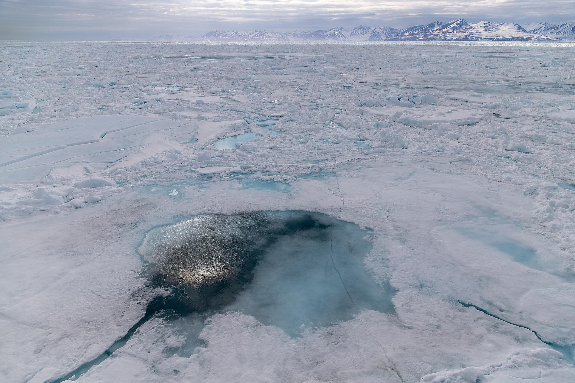 Das unerforschte Meereis von Nordost-Grönland