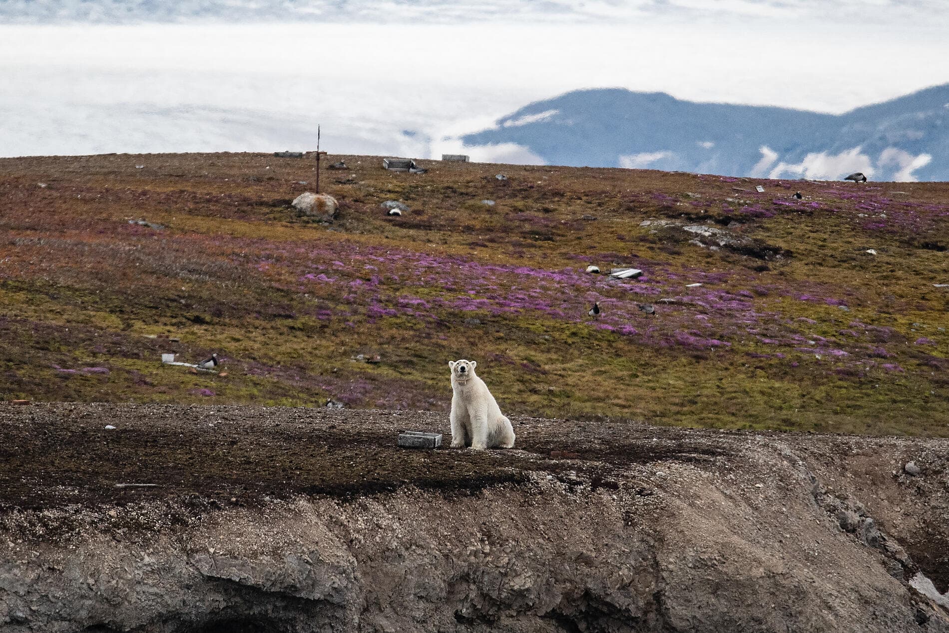 Kurs auf die ultimative Thule-Region 