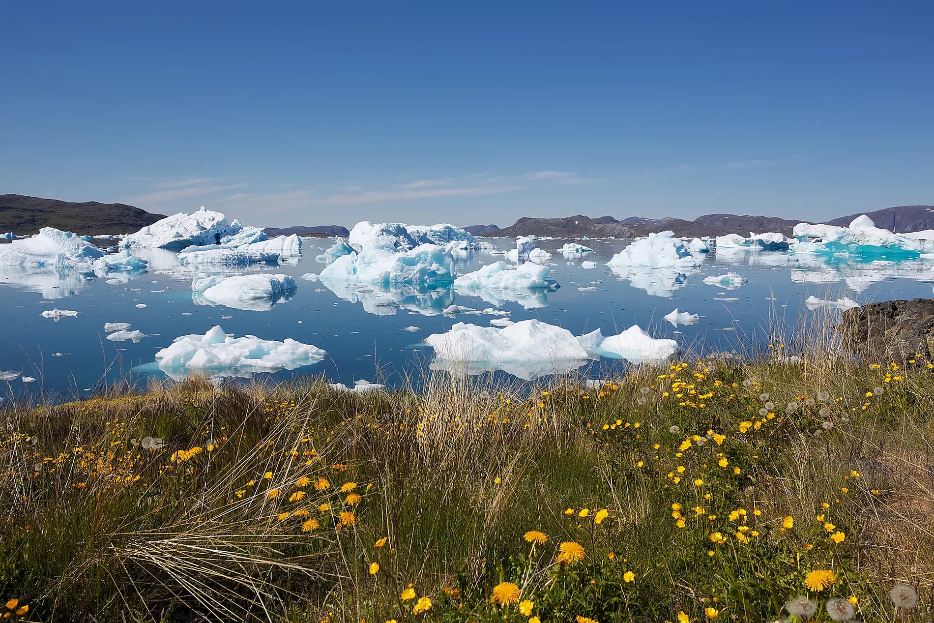 Expedition zum Rand des Eisschilds 