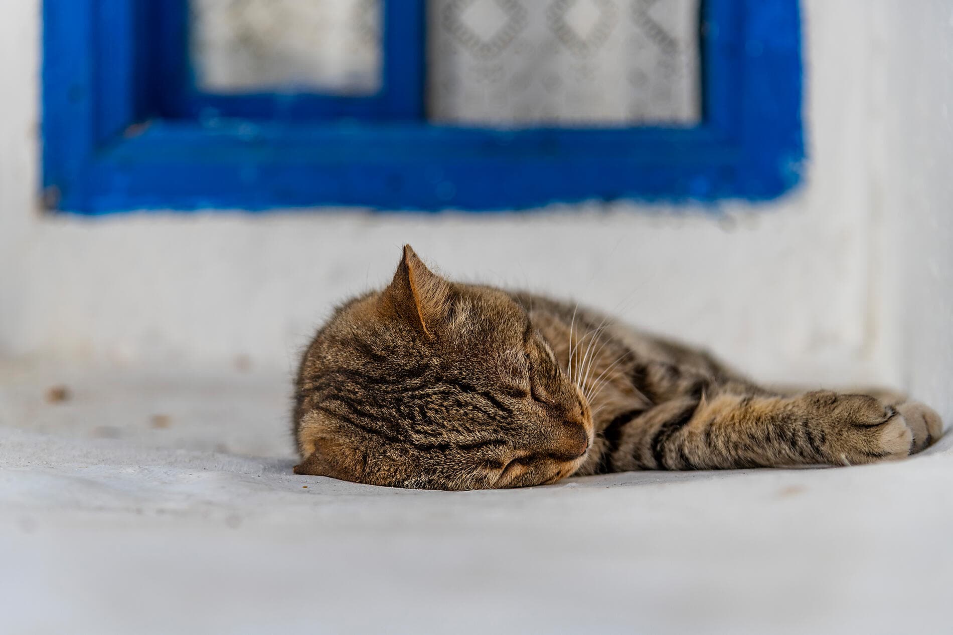 Inselhopping mit der Le Ponant – von Athen nach Dubrovnik