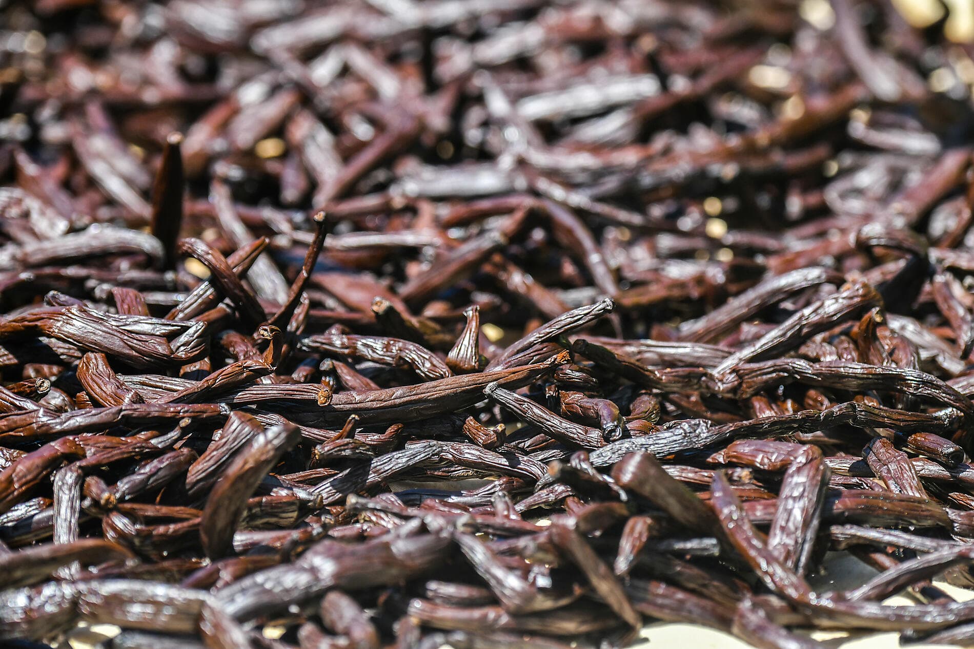 Perlen der Gesellschaftsinseln