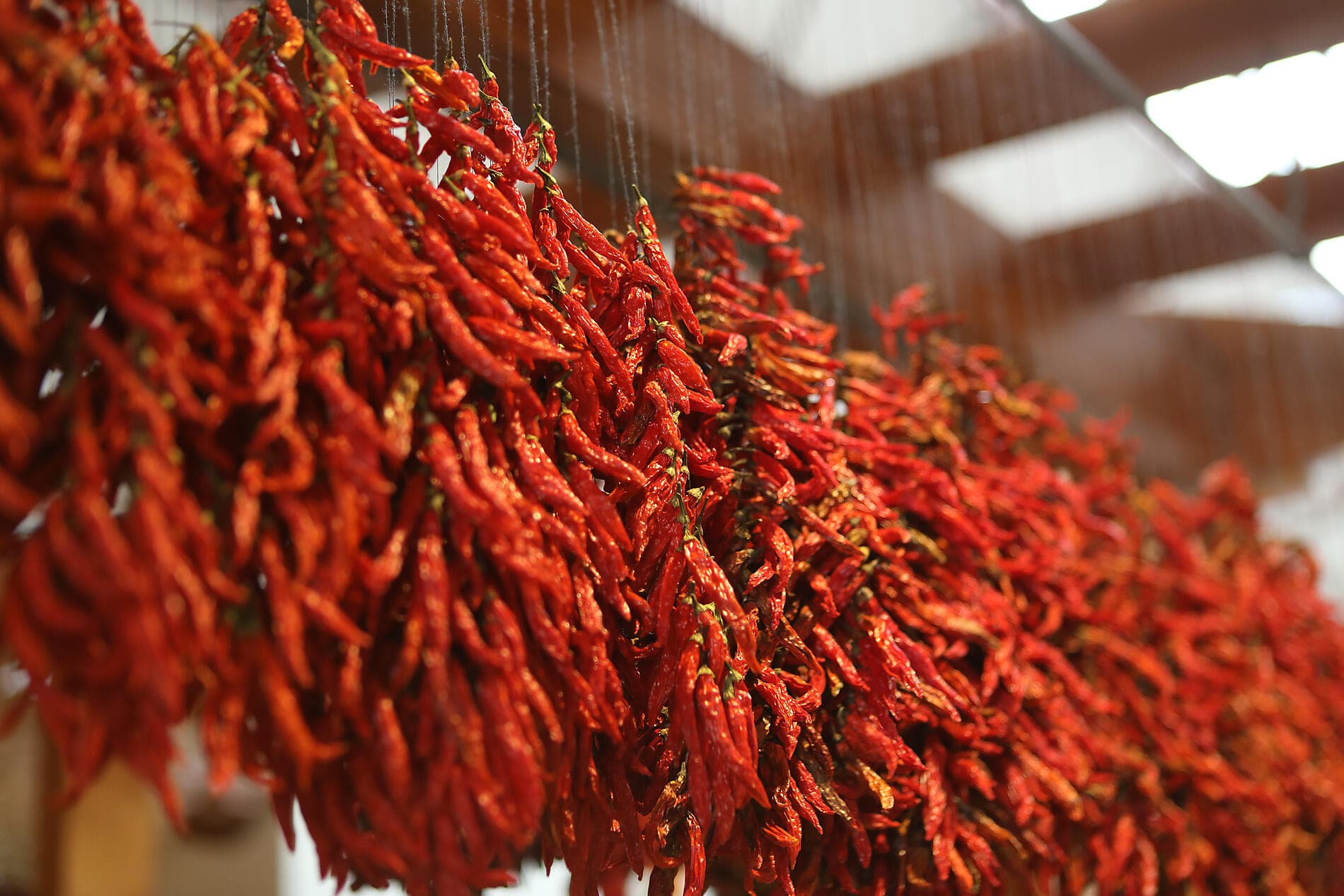 Atlantikabenteuer, von der Iberischen Halbinsel bis zu den Kanaren 