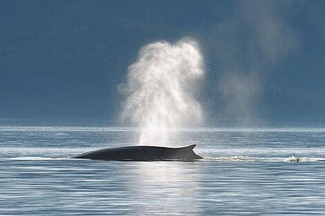 27. Sep 27 - Kreuzen auf dem Sankt-Lorenz-Strom und Fahrt durch seine Schleusen