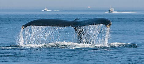 30. Sep 27 - Tadoussac