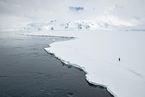 6. Jan 26 - The Gullet