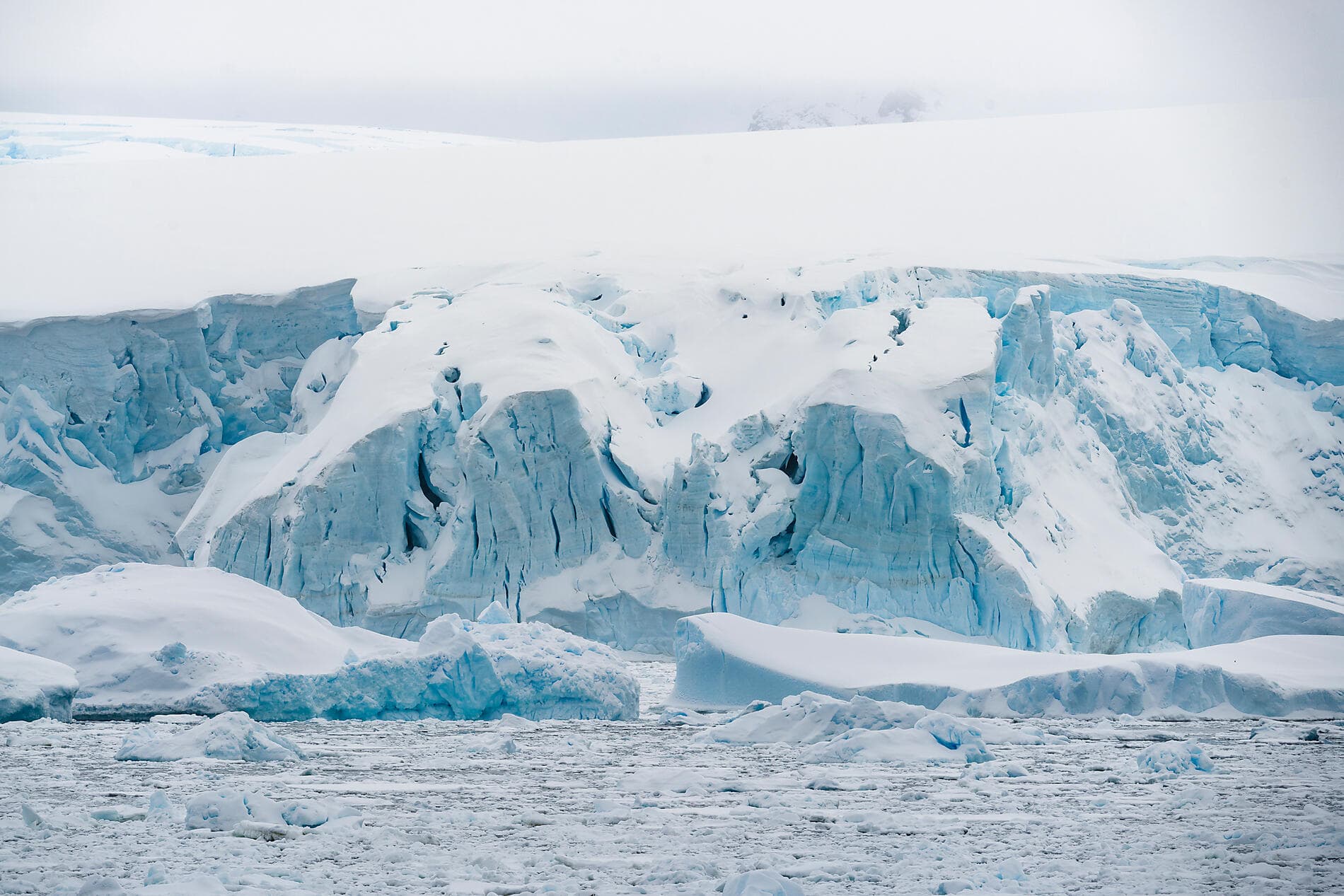 Im Kielwasser von Jean-Baptiste Charcot 
