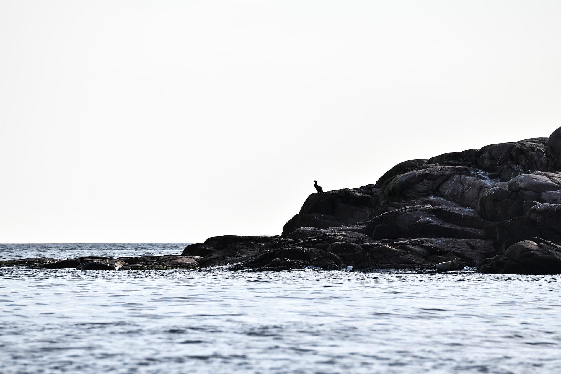 Unterwegs von der Nordsee bis zur Ostsee 