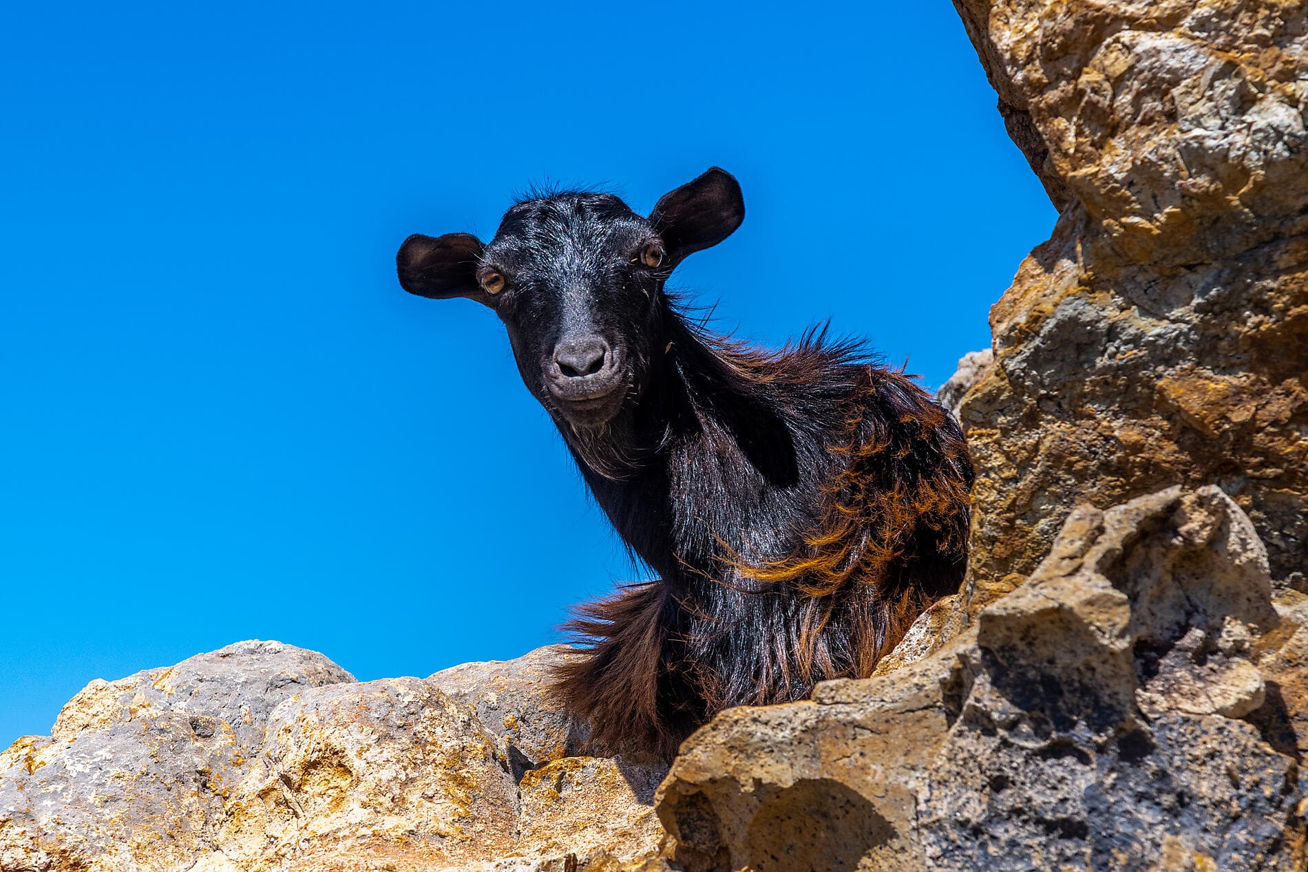 Inselhopping mit der Le Ponant – von Athen nach Dubrovnik 