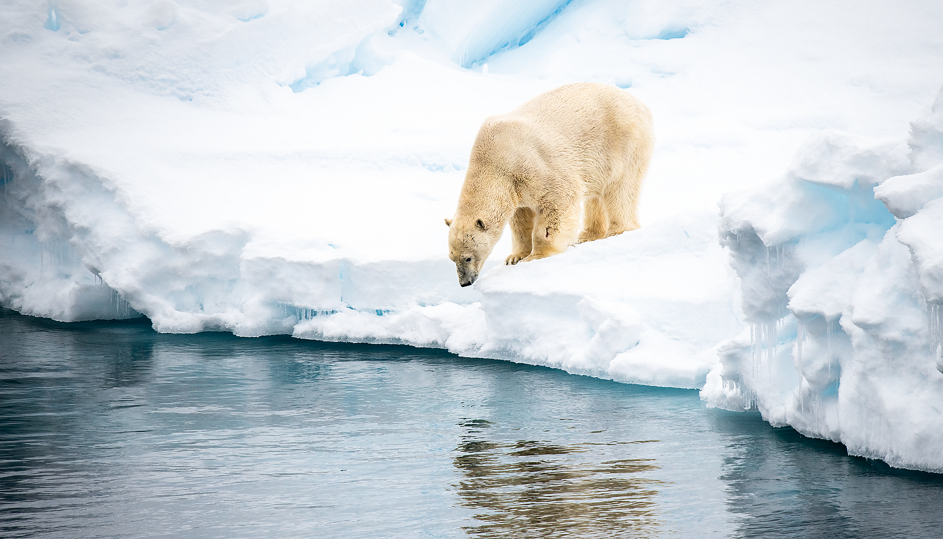 Im arktischen Eis von Grönland nach Spitzbergen