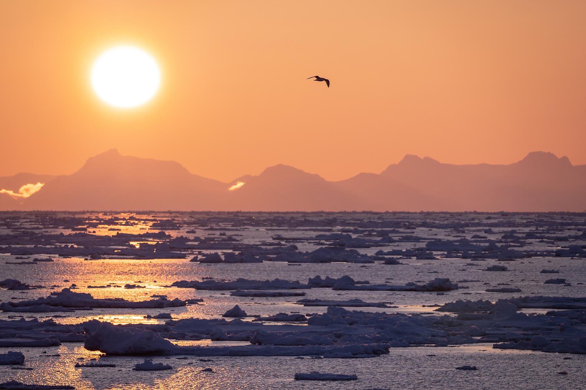 Frühling mit den Inuit von Ammassalik