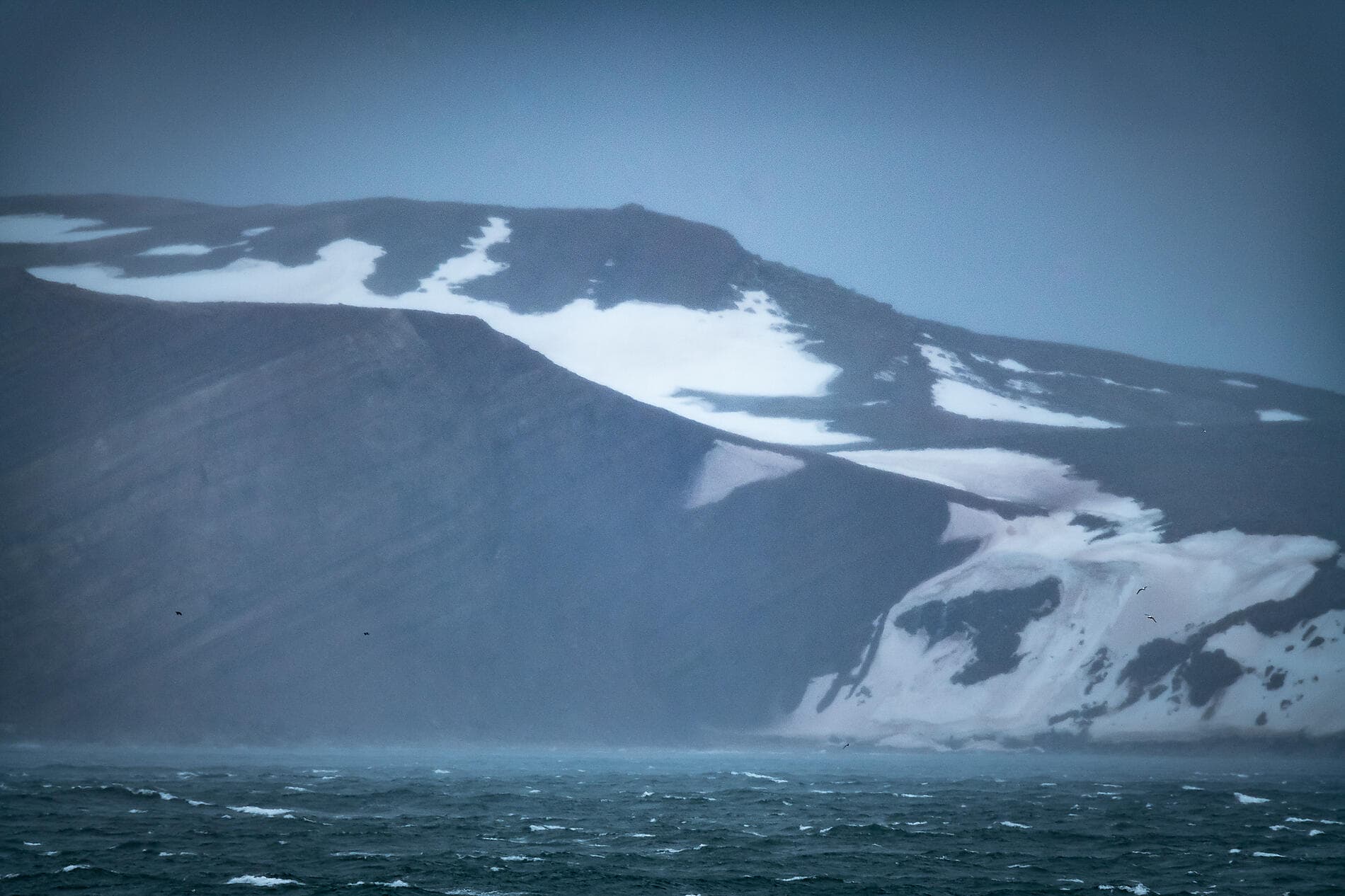 Polarlichter, vom Nordkap bis zu den Lofoten