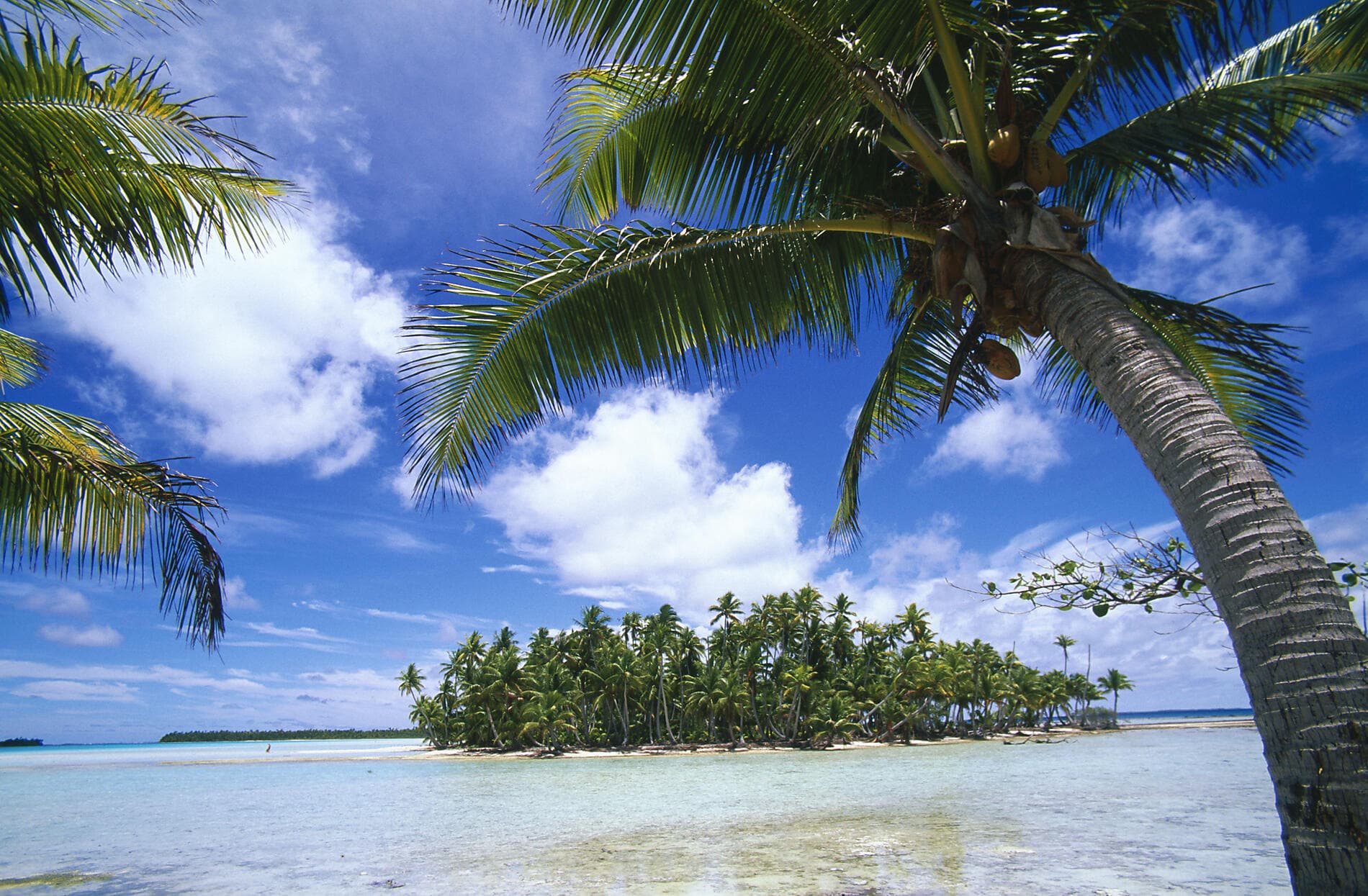 Geheimnisvoll: Französisch-Polynesien und die Insel Pitcairn