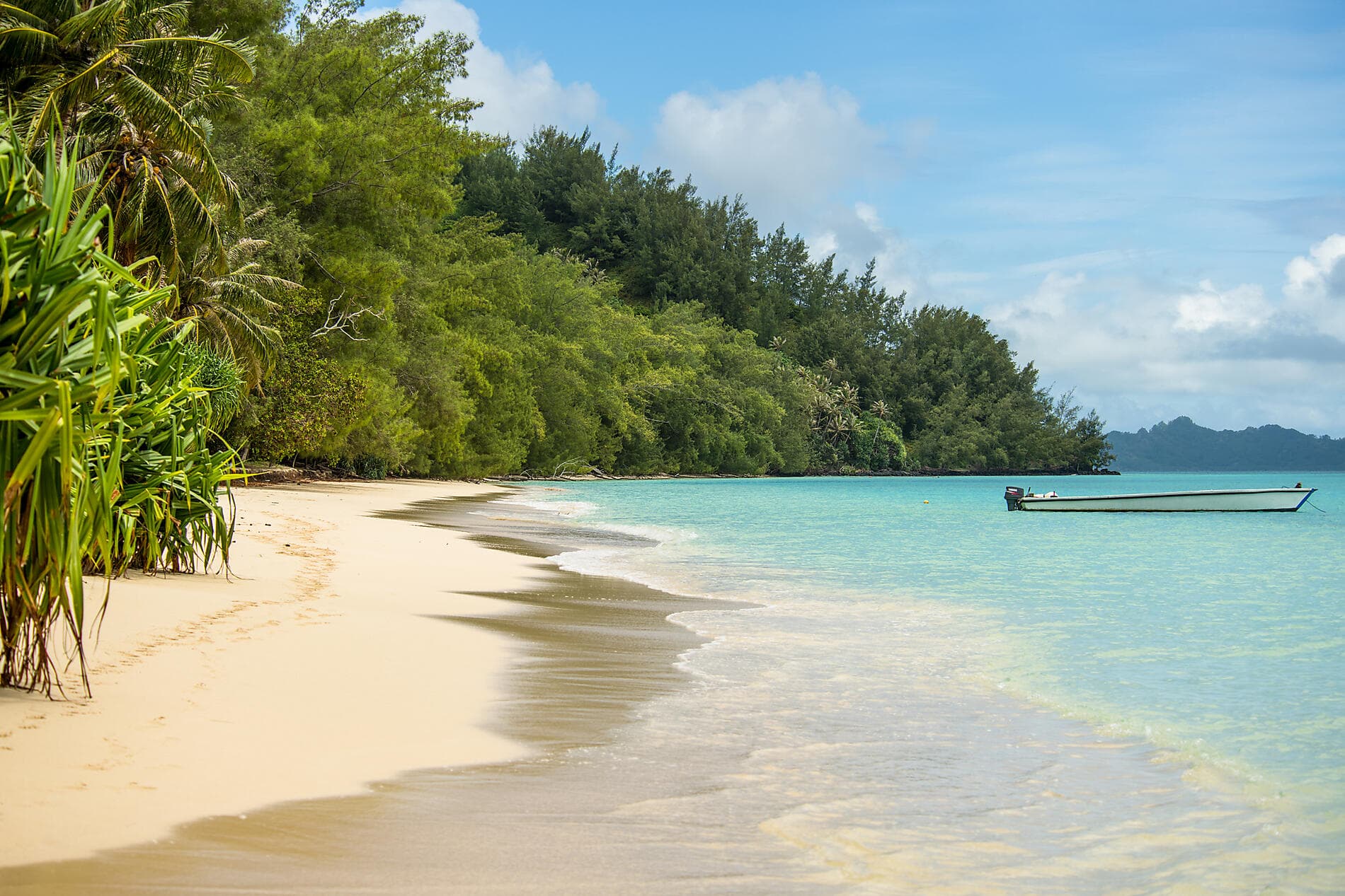 Geheimnisvoll: Französisch-Polynesien und die Insel Pitcairn