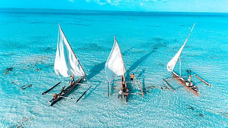 14. Feb 26 - Sansibar