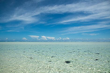 4. Feb 26 - Saint-François-Atolls