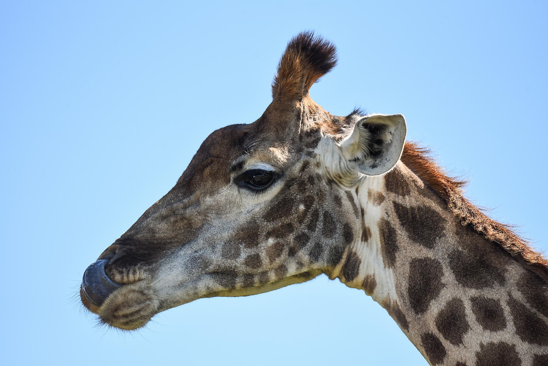 Namibia & Südafrika