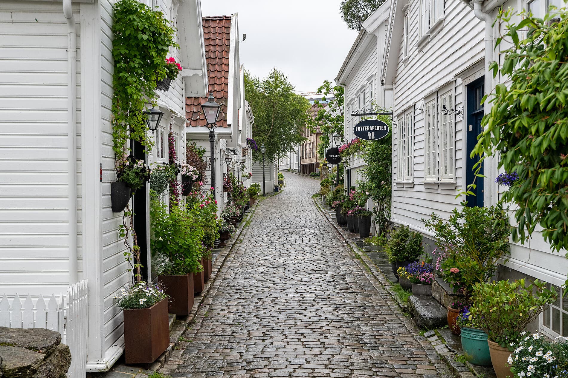 Schätze des Nordens und der Nordsee