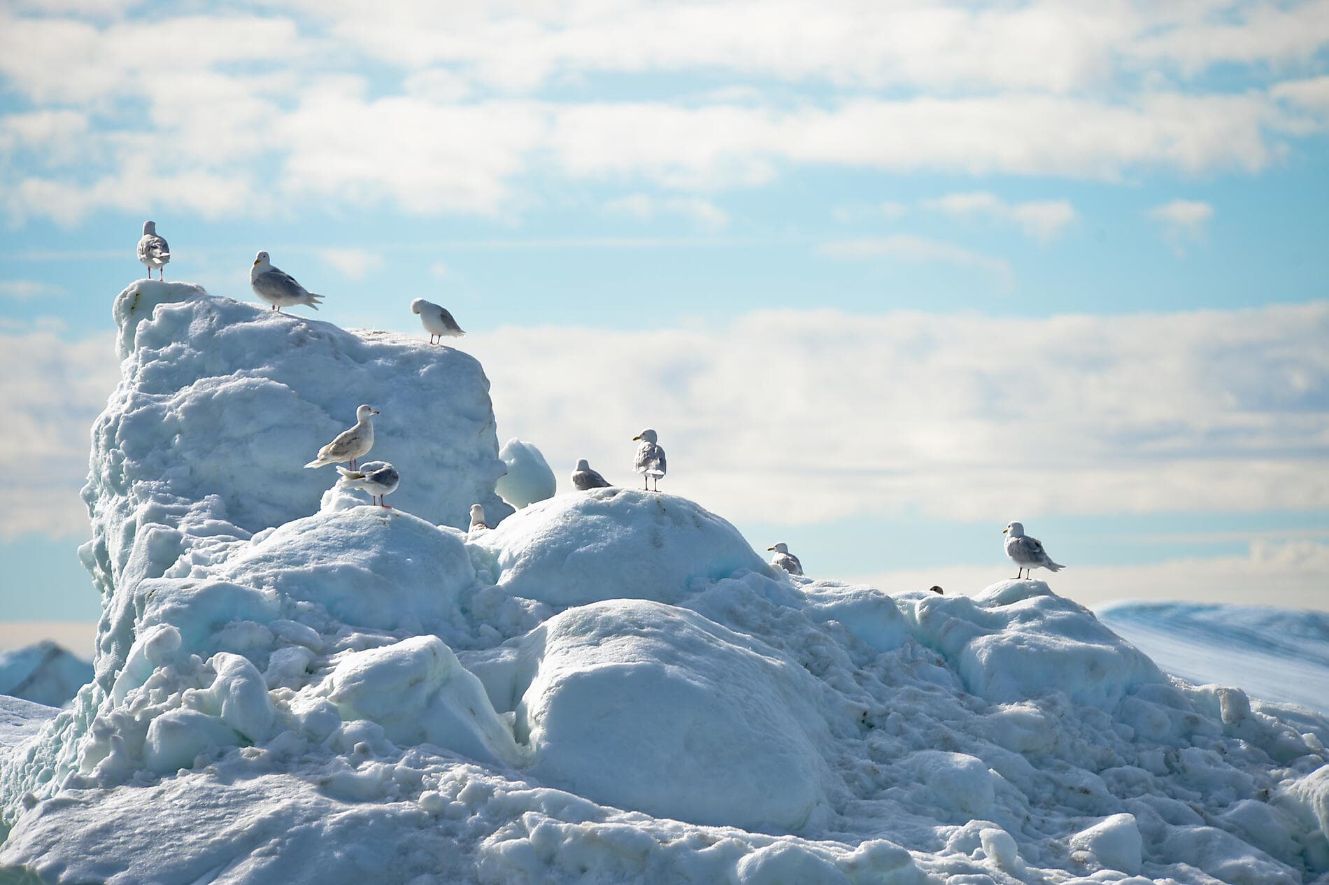 Frühling in der Arktis, zwischen Eis und Inuit-Kultur